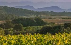 Rando santé lundi 13 octobre St Just et Vacquieres